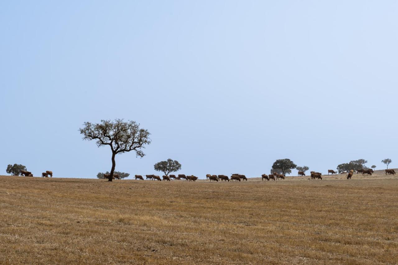 Change The World - Herdade Monte Do Peral Montes Juntos Esterno foto