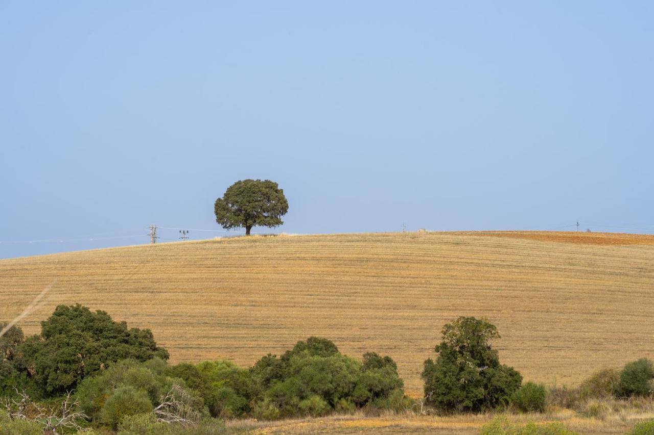 Change The World - Herdade Monte Do Peral Montes Juntos Esterno foto