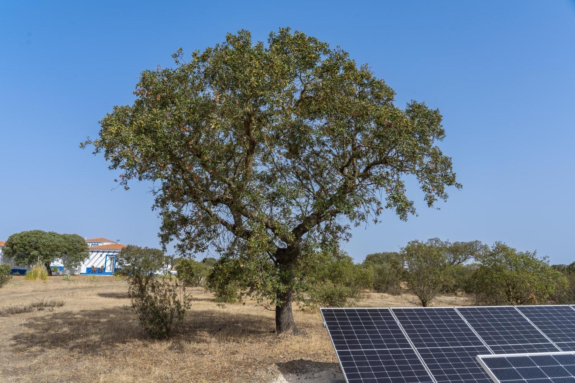 Change The World - Herdade Monte Do Peral Montes Juntos Esterno foto