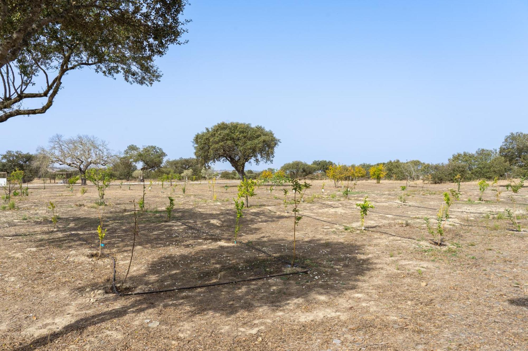 Change The World - Herdade Monte Do Peral Montes Juntos Esterno foto