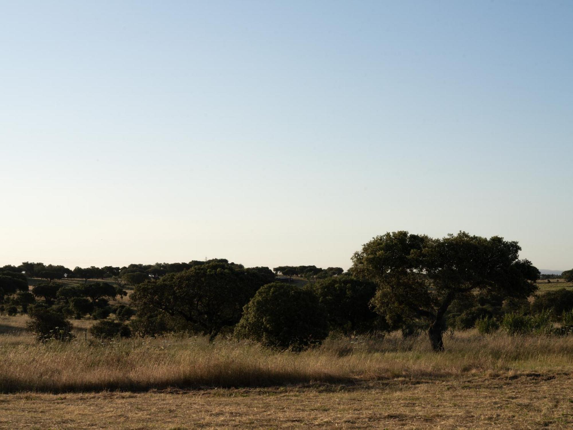 Change The World - Herdade Monte Do Peral Montes Juntos Esterno foto