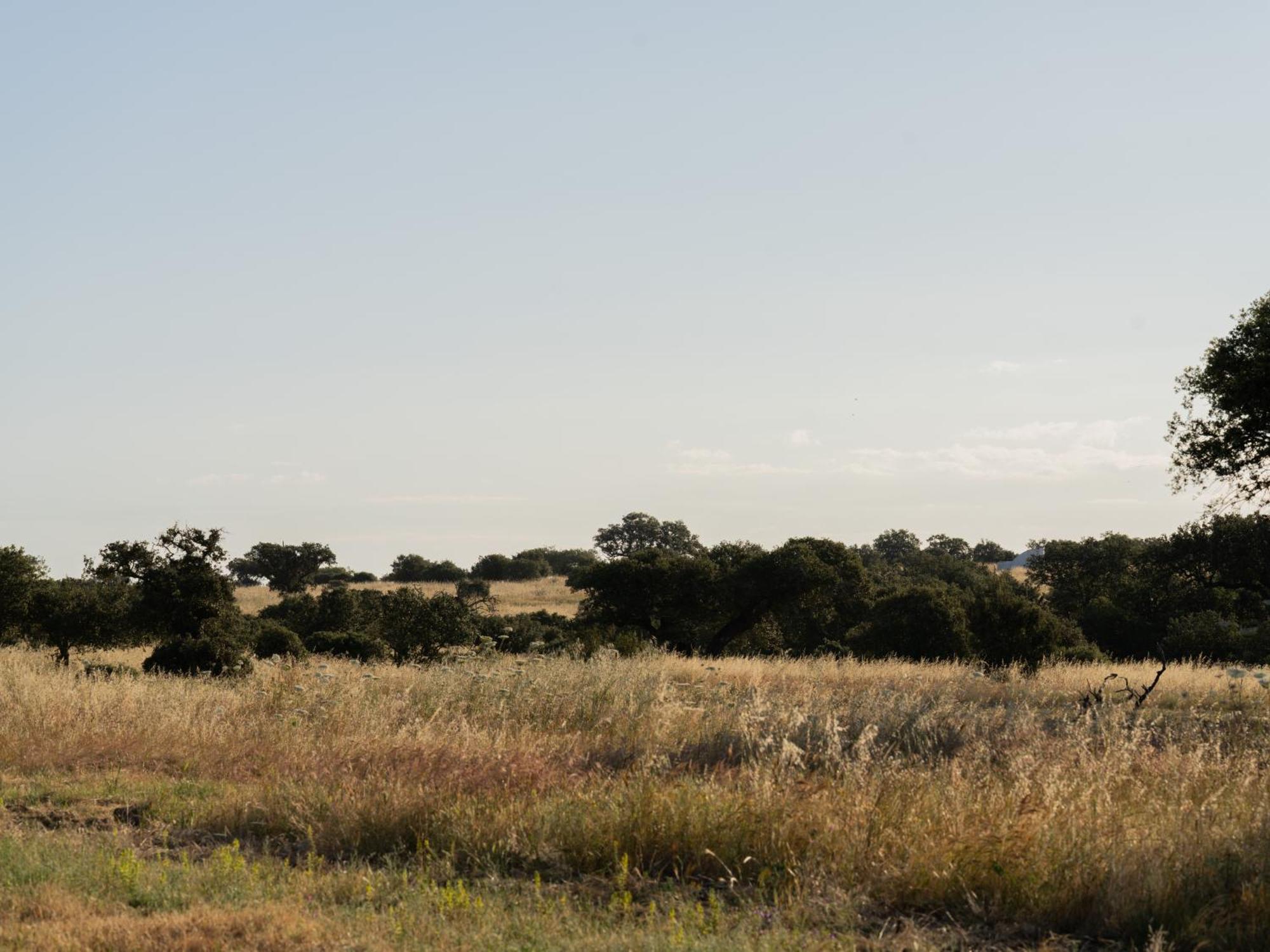 Change The World - Herdade Monte Do Peral Montes Juntos Esterno foto
